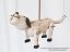 Hund-holz-marionette-mk201a|marionetten-puppen.de|Galerie-der-Tschechischen-Marionetten