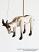 Ziege-holz-marionette-mk202b|marionetten-puppen.de|Galerie-der-Tschechischen-Marionetten