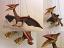 Pterodactyl-marionette-puppe-pr046|marionetten-puppen.de|Galerie-der-Tschechischen-Marionetten