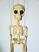 Skelett-marionette-puppe-am001b|marionetten-puppen.de|Galerie-der-Tschechischen-Marionetten 