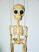 Skelett-marionette-puppe-am001b|marionetten-puppen.de|Galerie-der-Tschechischen-Marionetten 