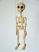 Skelett-marionette-puppe-am001c|marionetten-puppen.de|Galerie-der-Tschechischen-Marionetten 
