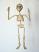 Skelett-marionette-puppe-am003a|marionetten-puppen.de|Galerie-der-Tschechischen-Marionetten