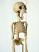 Skelett-marionette-puppe-am003t|marionetten-puppen.de|Galerie-der-Tschechischen-Marionetten