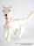 Katze-marionette-pn159|marionetten-puppen.de|Galerie-der-Tschechischen-Marionetten