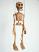 Skelett-marionette-puppe-vk072|marionetten-puppen.de|Galerie-der-Tschechischen-Marionetten