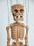 Skelett-marionette-puppe-vk072b|marionetten-puppen.de|Galerie-der-Tschechischen-Marionetten