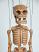 Skelett-marionette-puppe-vk072b|marionetten-puppen.de|Galerie-der-Tschechischen-Marionetten