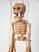 Skelett-marionette-puppe-vk072e|marionetten-puppen.de|Galerie-der-Tschechischen-Marionetten