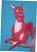 Drache-marionette-Bauchredners-mp041a-|marionetten-puppen.de|Galerie-der-Tschechischen-Marionetten