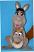 Kanguru-marionette-bauchredners-mp136c-|marionetten-puppen.de|Galerie-der-Tschechischen-Marionetten