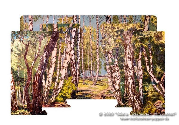 Hintergrund und Kulisse Birkenwald